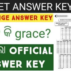 Icivics the capable county answer key