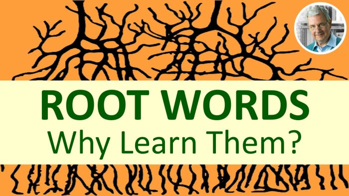 Words word root study teaching