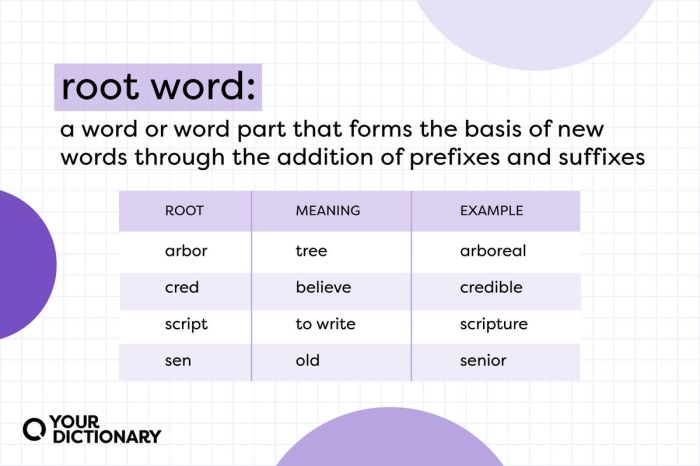 Words with the word root dorm