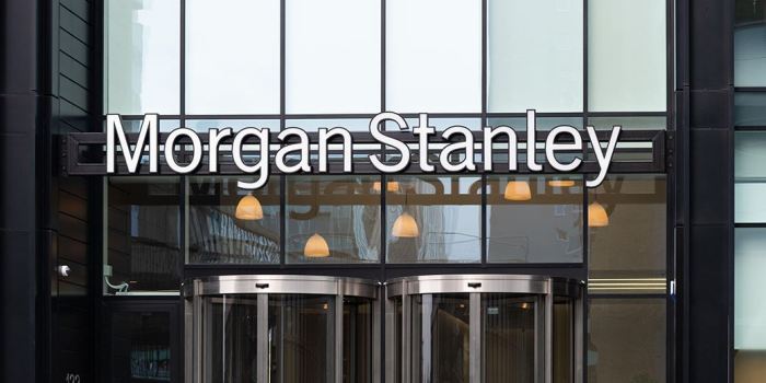 Morgan stanley early insights wso