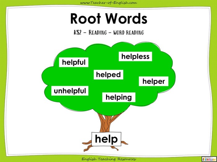 Words with the word root dorm