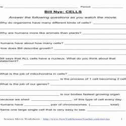 Bill nye plants worksheet answers