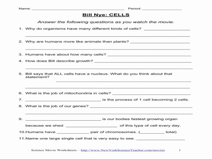 Bill nye plants worksheet answers