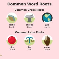 Root words