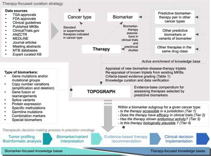 Ati knowledge and clinical judgement