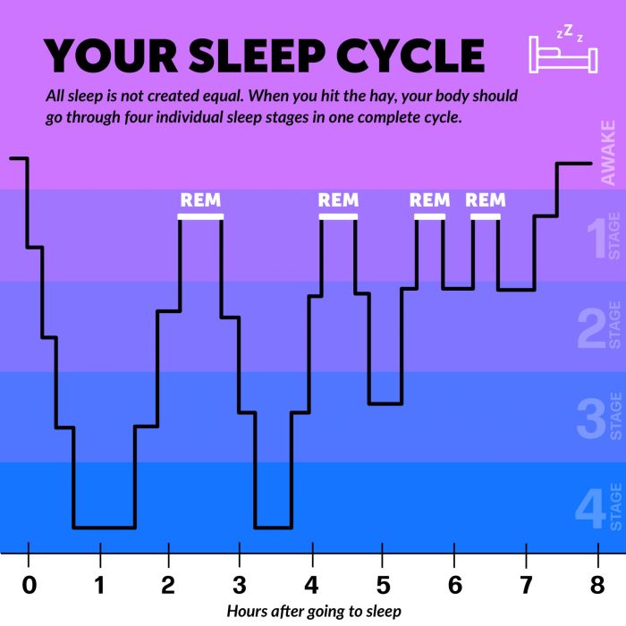 Which is not a lifespan consideration for sleep cycles