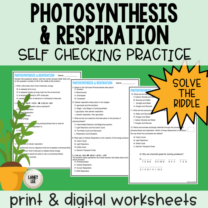 Cellular respiration and photosynthesis review worksheet