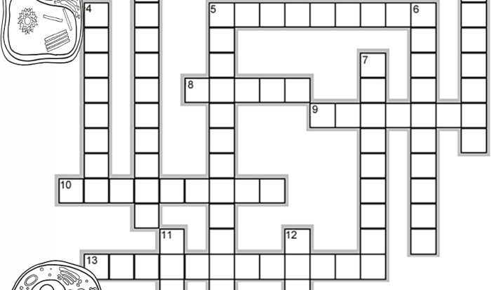 Cell structure and function crossword puzzle answer key