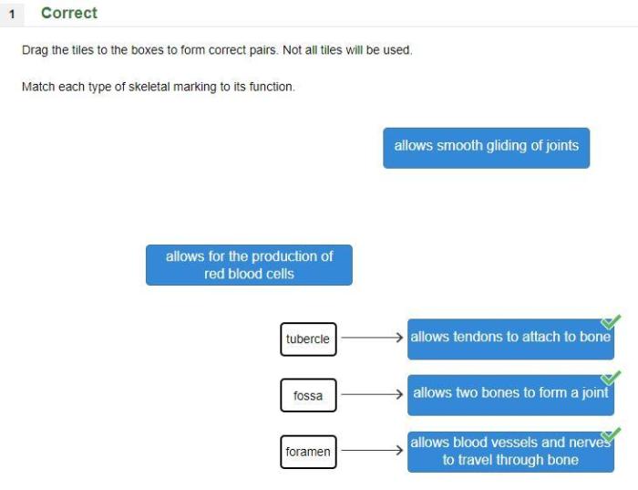 Match correct scenario represents pairs boxes drag brainly