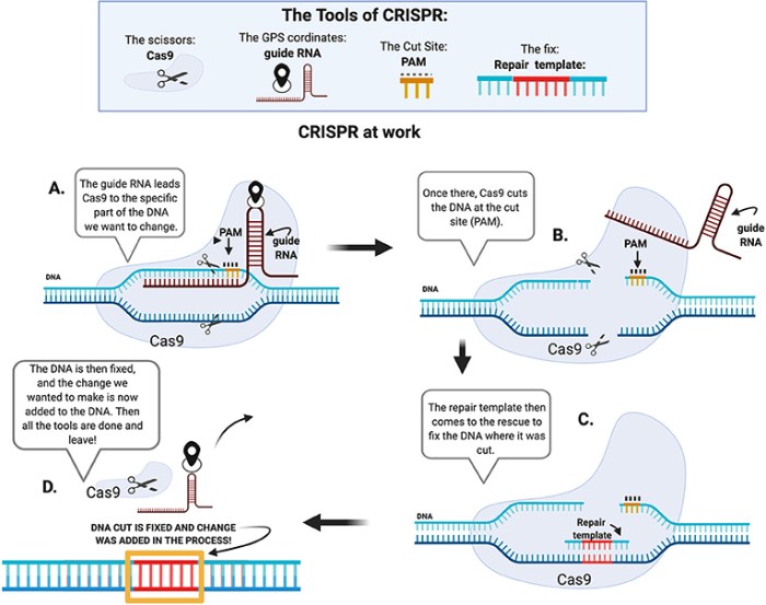 Crispr farming vertical gene editing now technology dna reusable rockets changing blockchain technologies future right moneycontrol mit