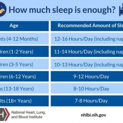 Which is not a lifespan consideration for sleep cycles