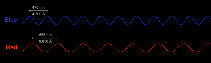 Describe the difference between red light and blue light.